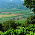 Colli Berici DOC panorama