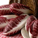 radicchio asigliano