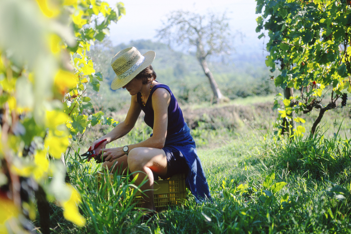 Tenuta di Valgiano