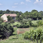 Casa_MG_4966