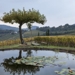 Gravner stagno Runk foto A.Barsanti