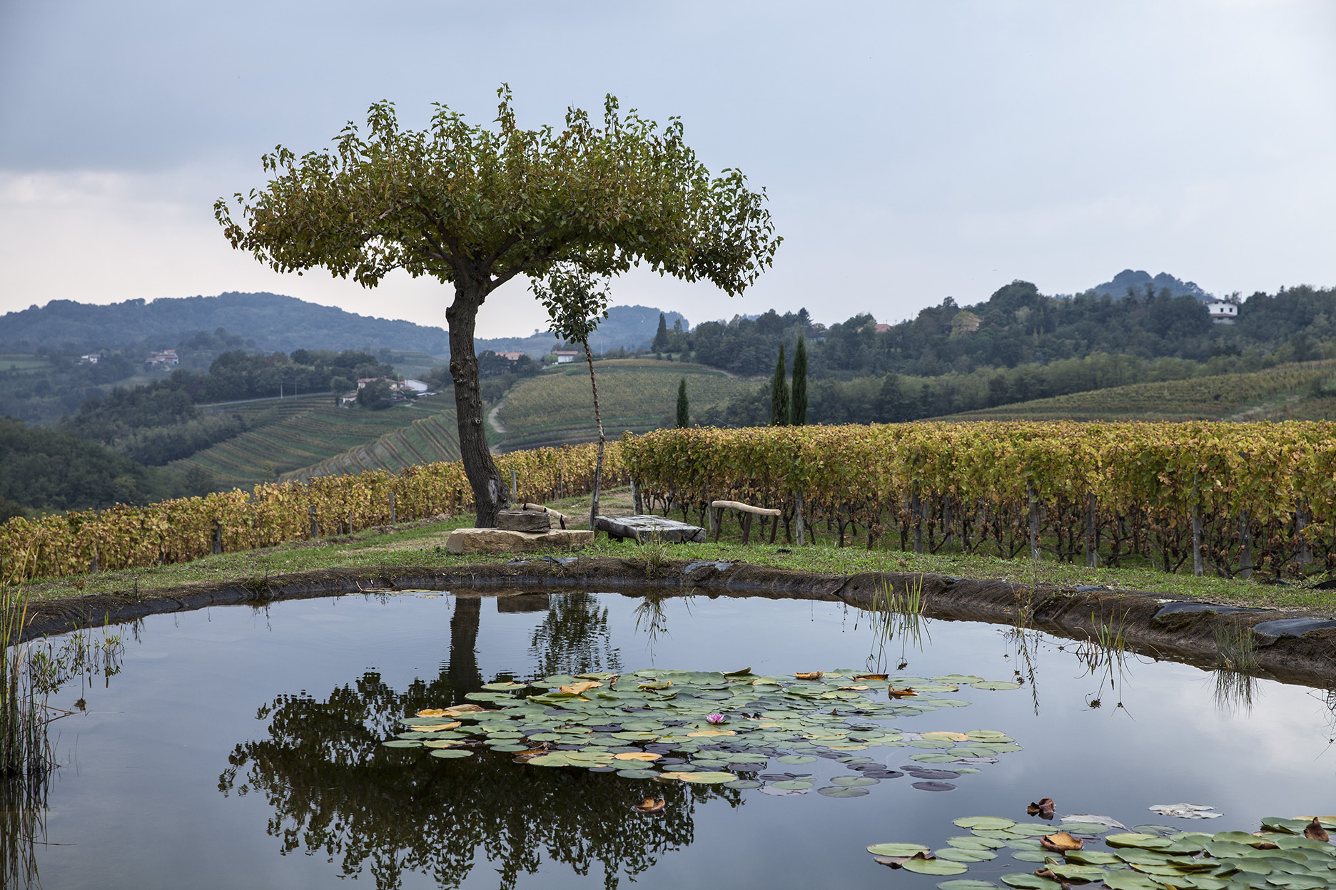 Gravner stagno Runk foto A.Barsanti