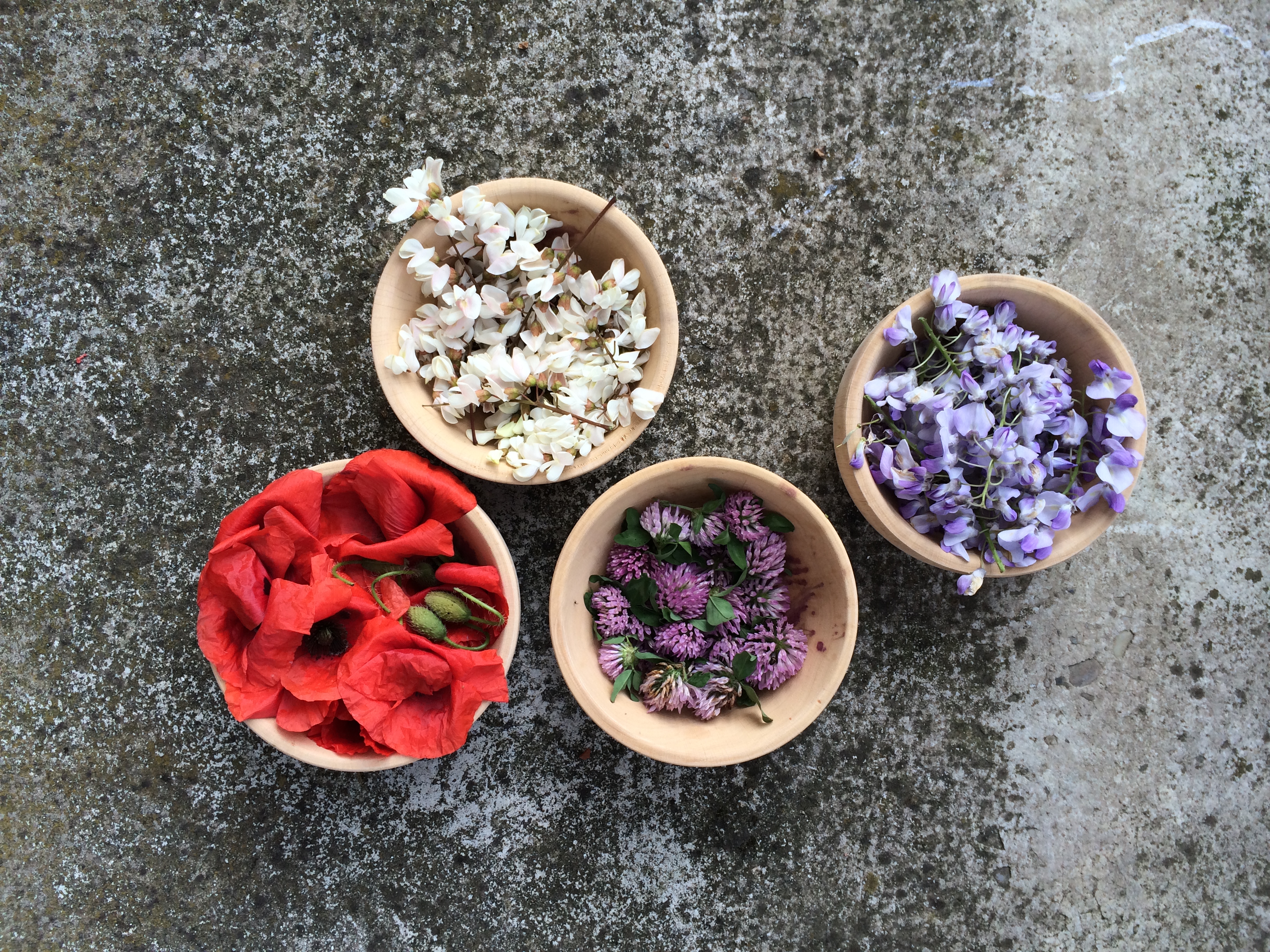 Fiori saporiti - Valeria Mosca