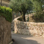Camminata tra gli Ulivi-28_028