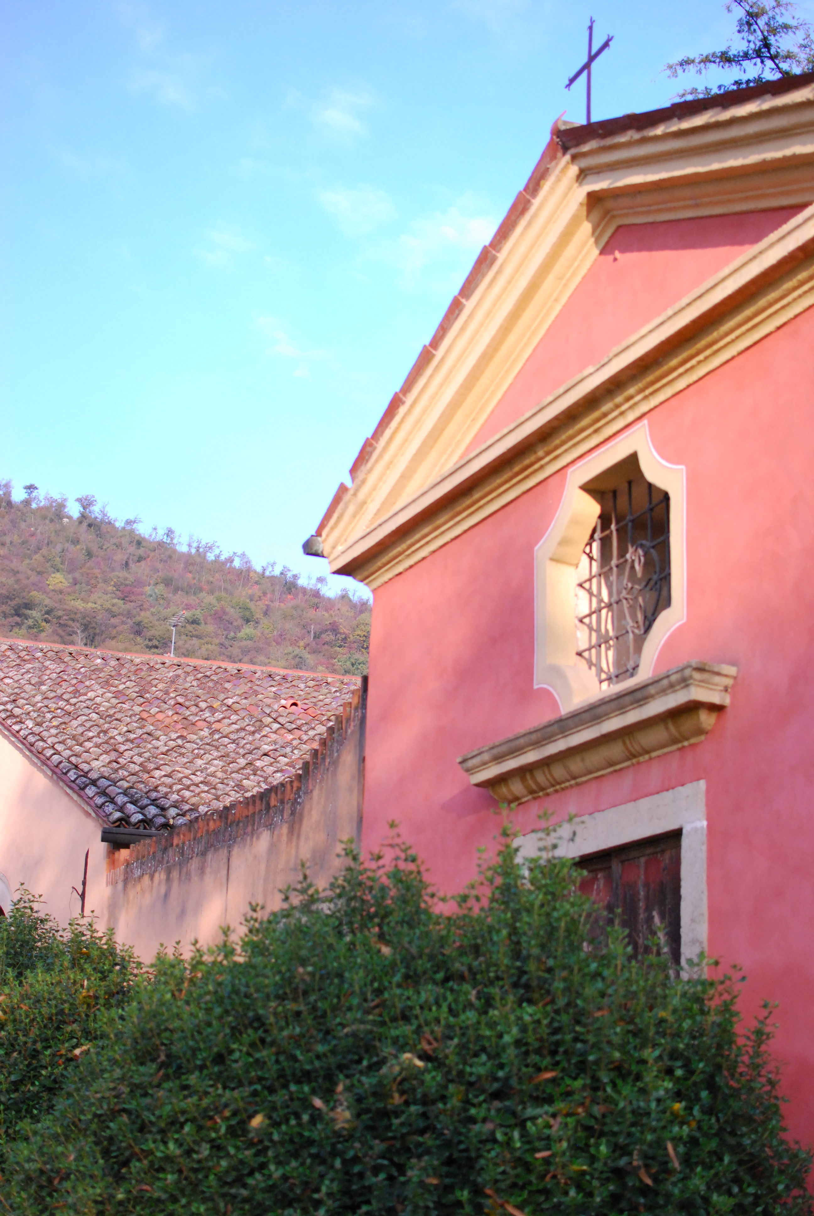 Piovene Porto Godi | Dettaglio cantina