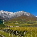 Cantina Tramin - Mountains overlooking the vineyards