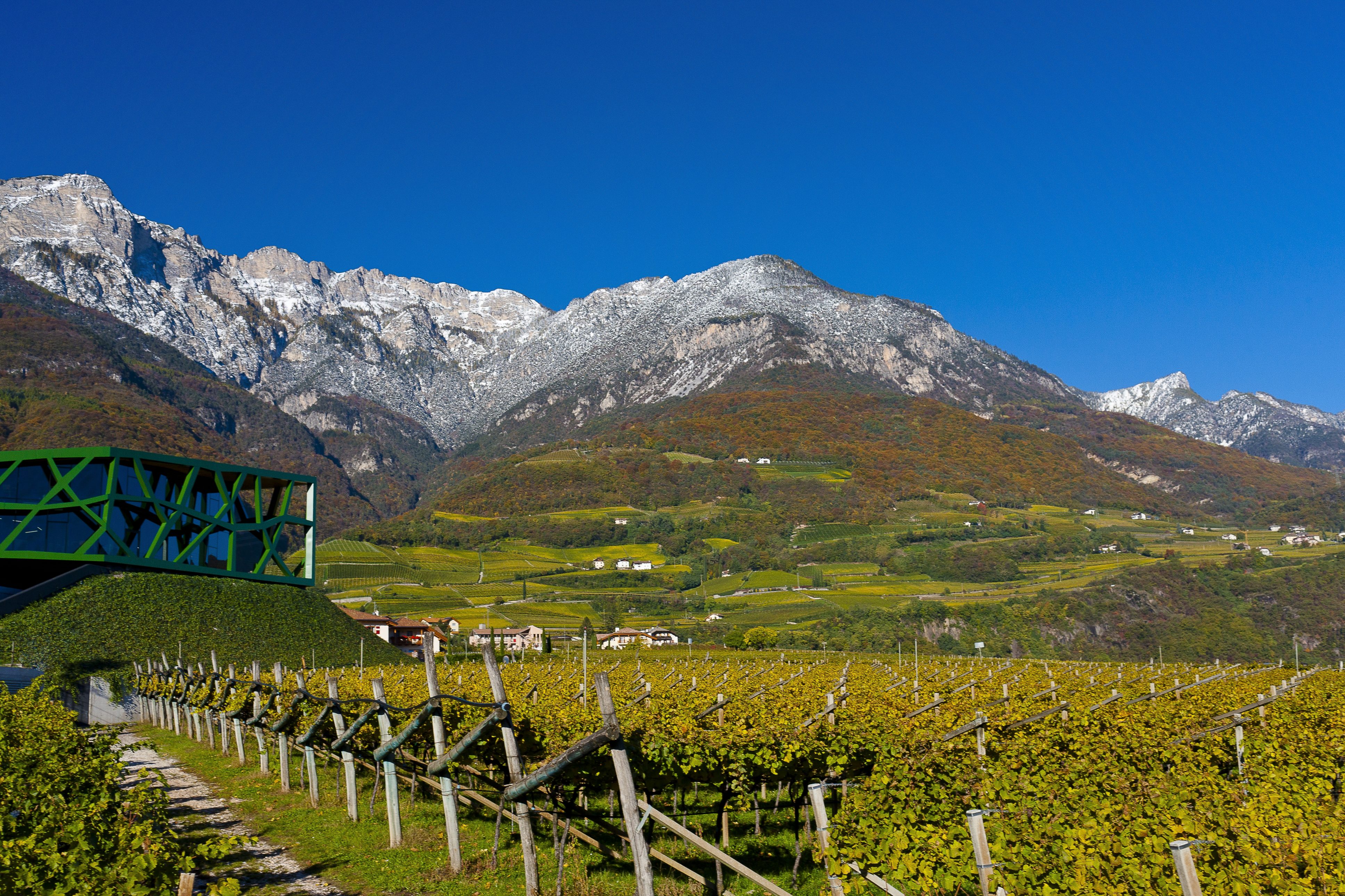 Cantina Tramin - Mountains overlooking the vineyards