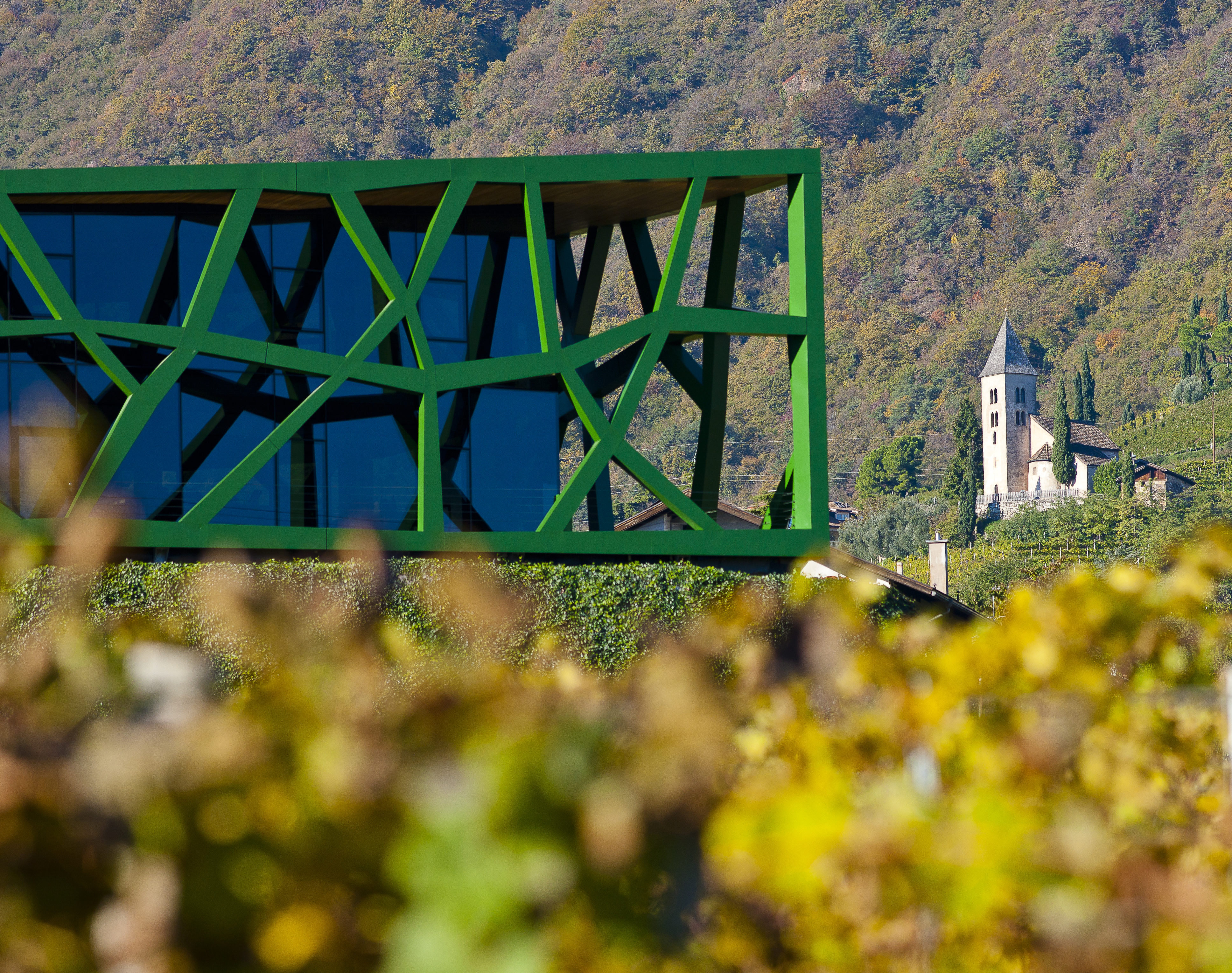 Cantina Tramin - The Winery