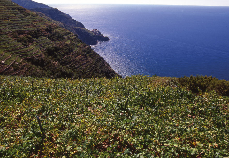 FOTO PANORAMA COSTA DI POSA