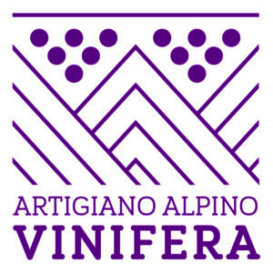 vinifera logo nuovo