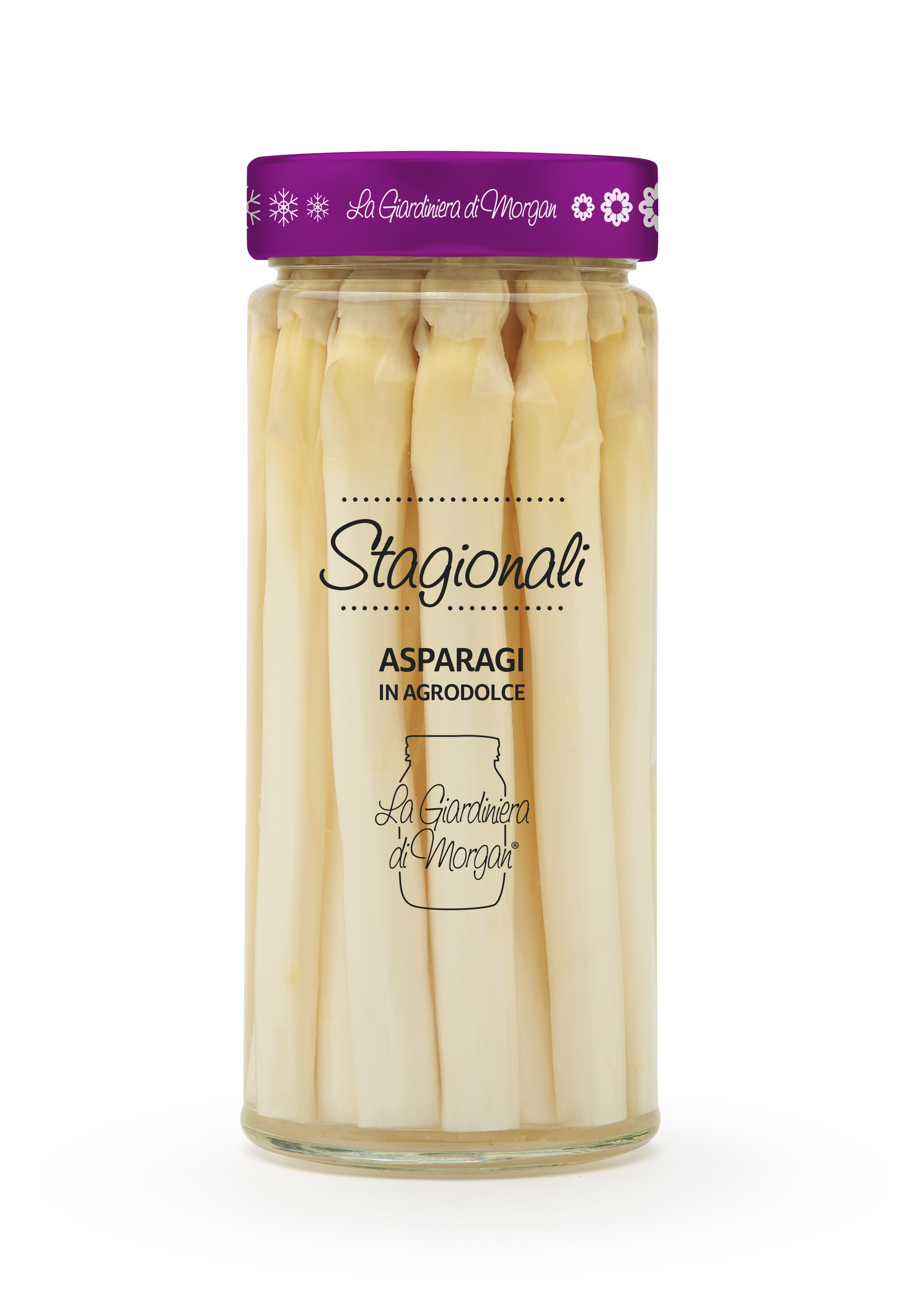 asparagi_morgan
