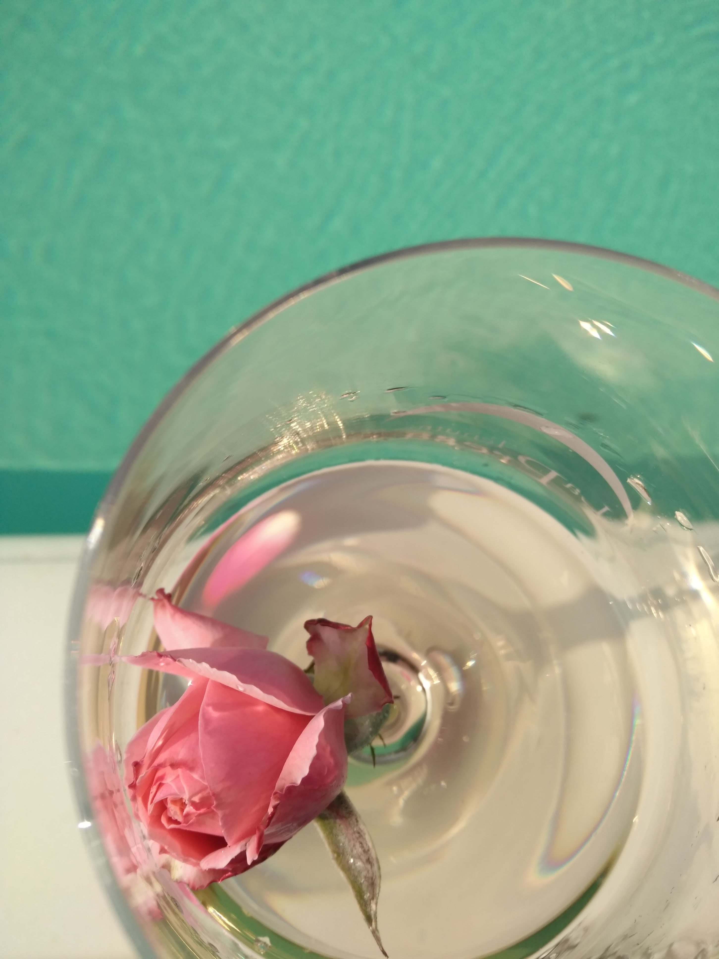 Rosè Swimming