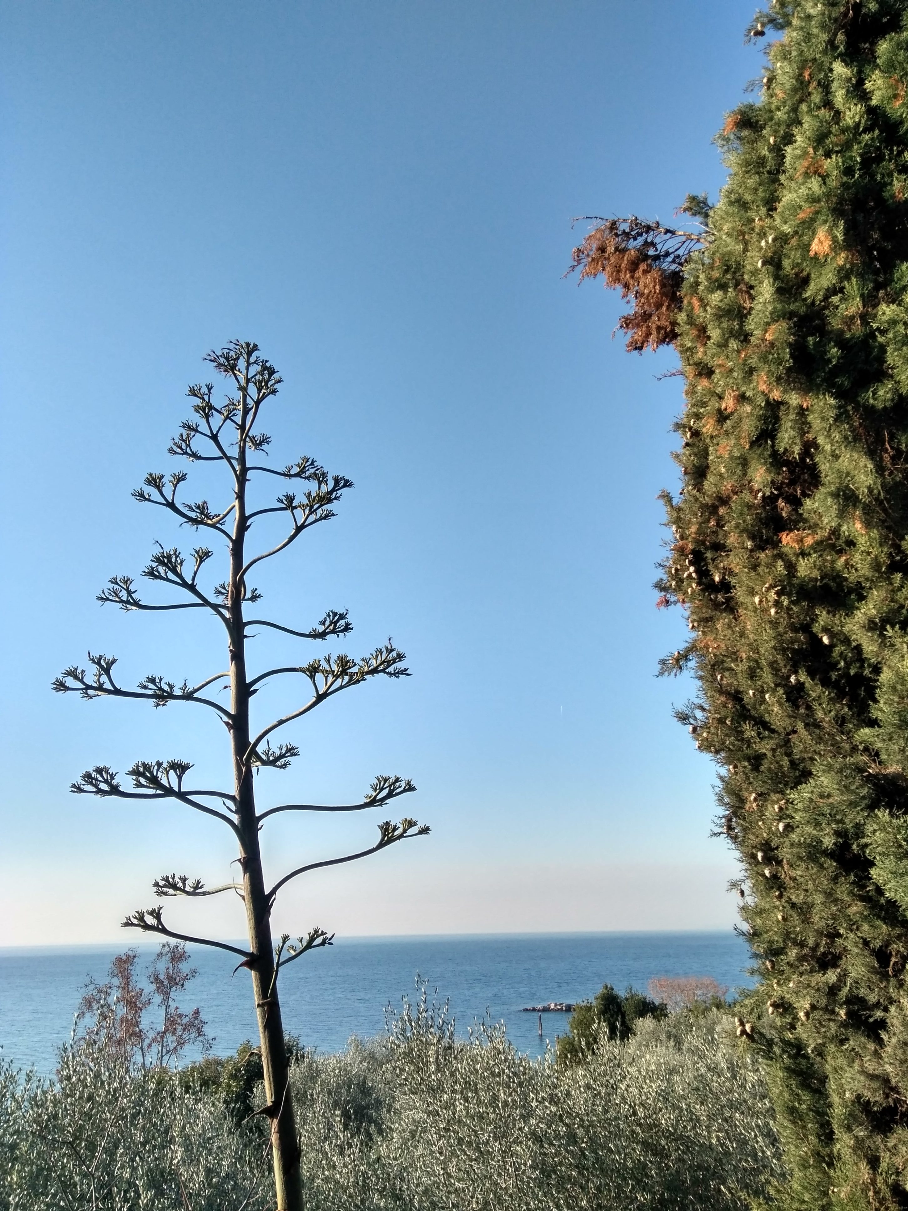 IMG_20171207_101719_HDR