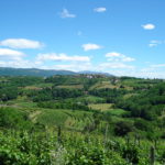 DSC00008
