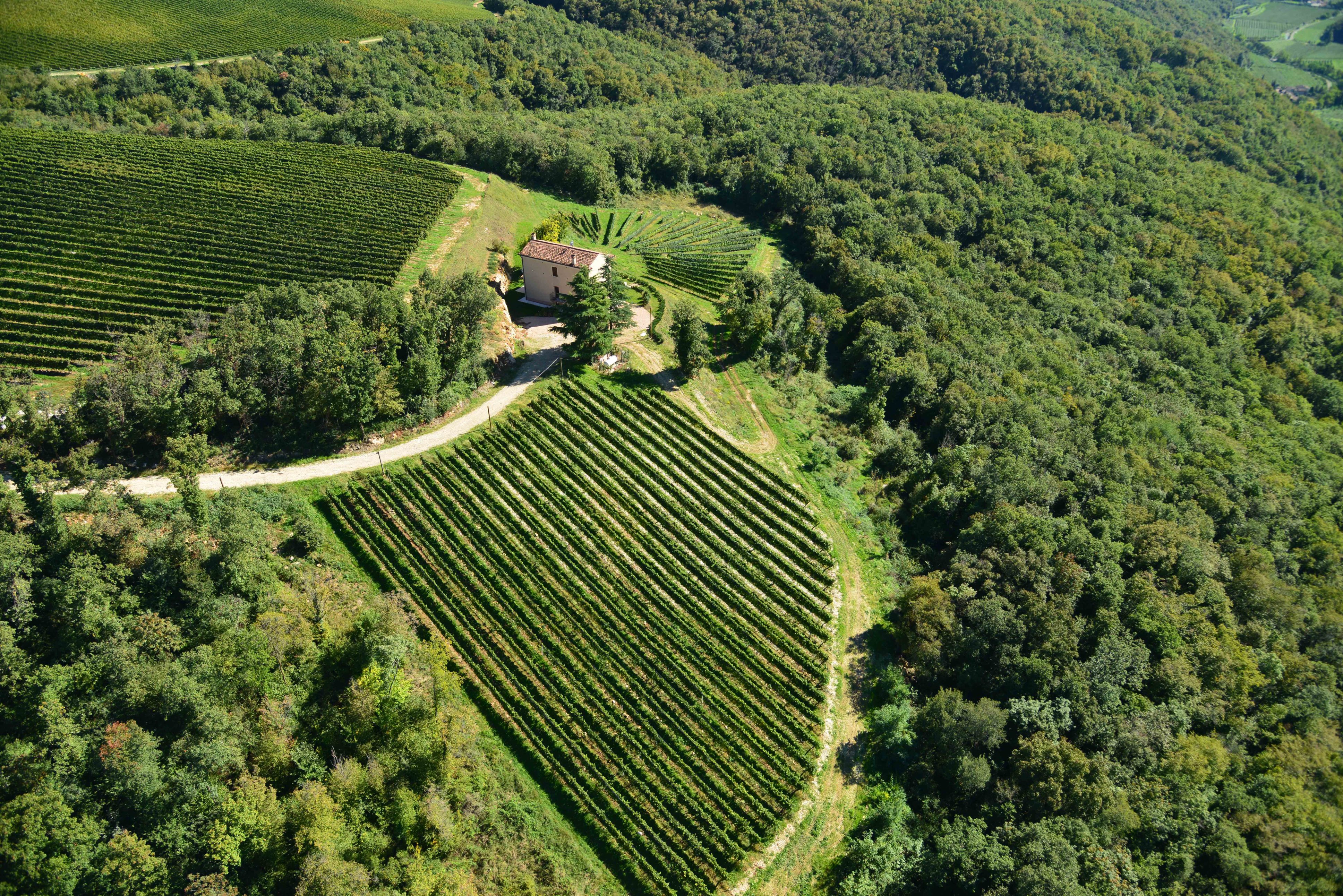 Casa Maffei Cru