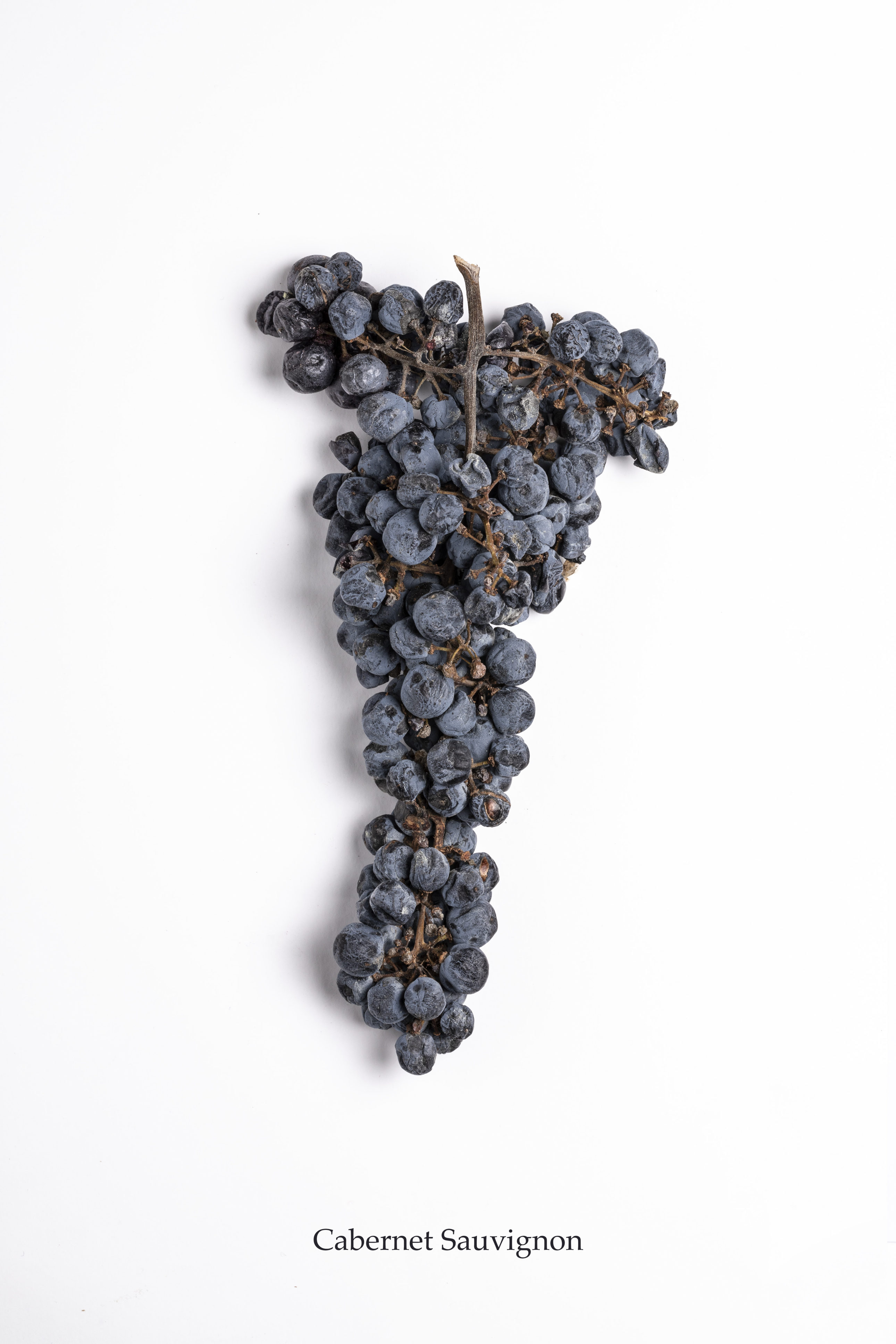 Cabernet Sauvignon