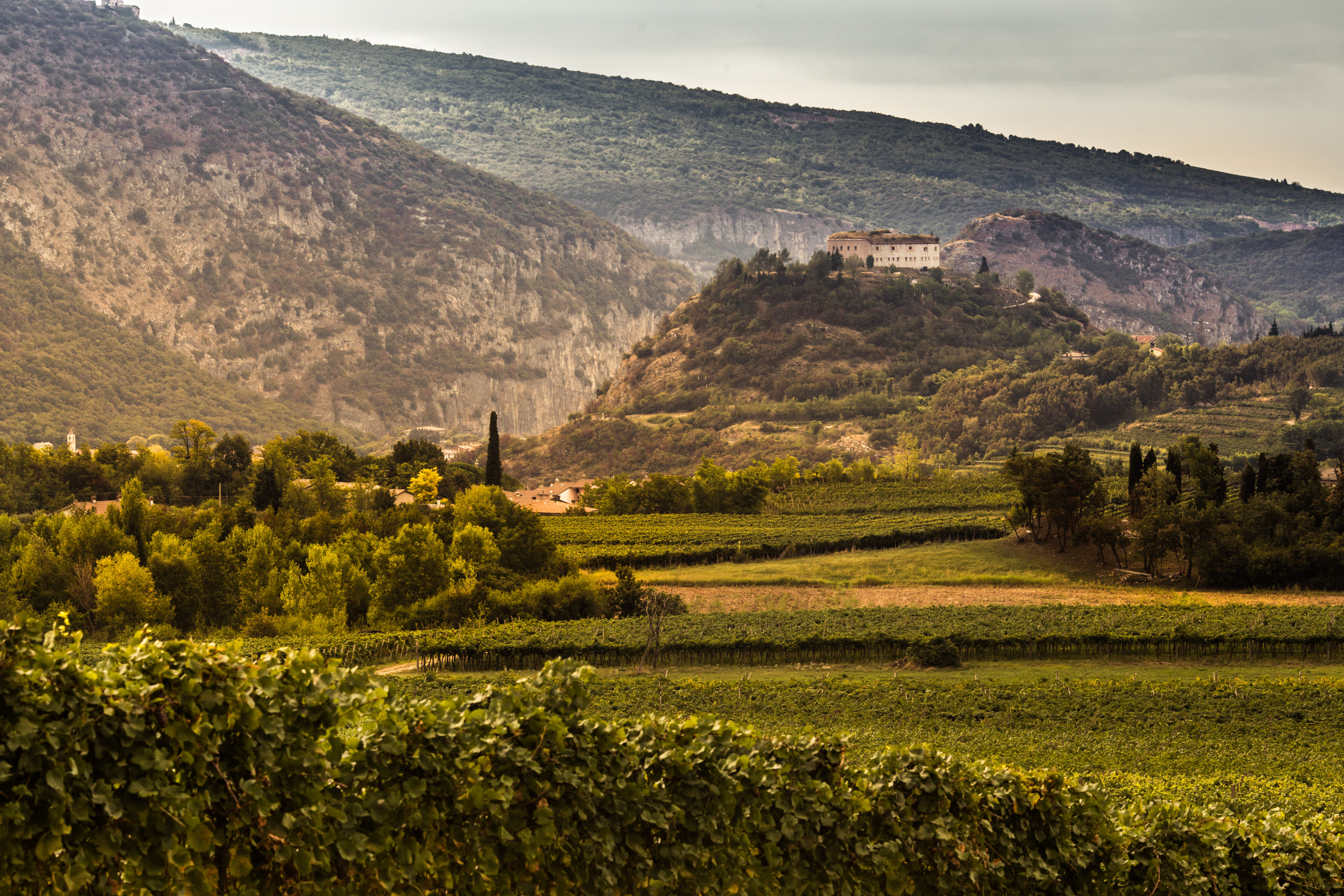 Landscape Rivoli