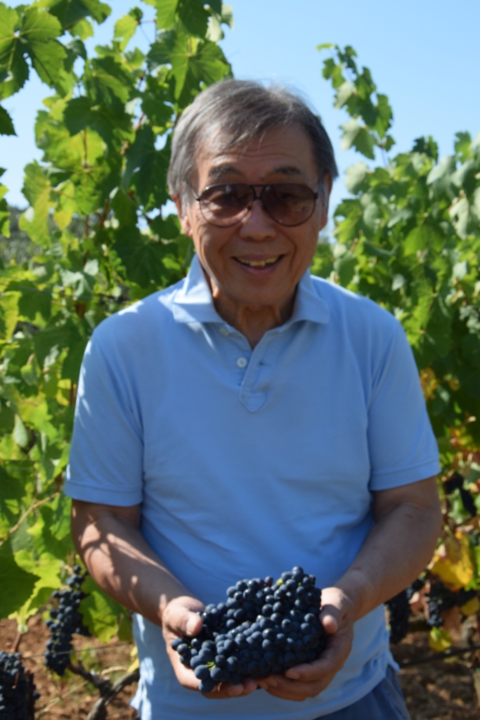 Hide Syrah web