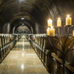 Barricaia illuminata