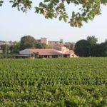 casa e vigneto